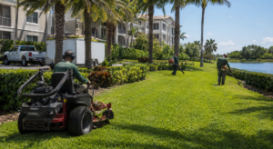 Listing Image landscape maintenance III